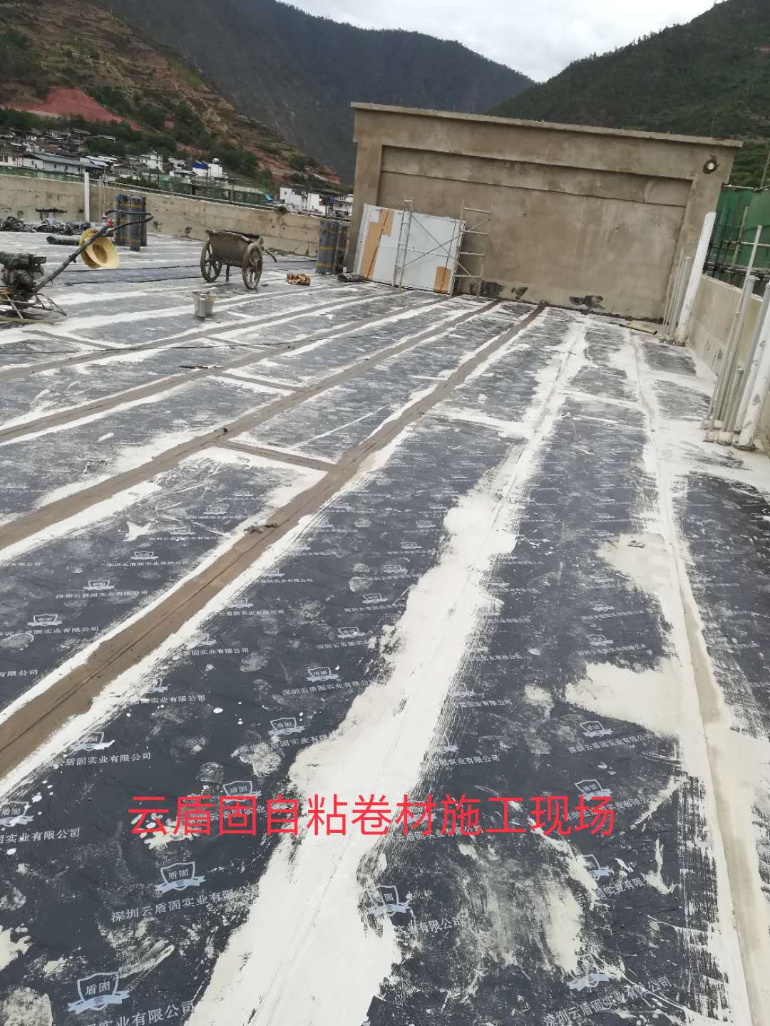 一级特黄AAA大片在线观看