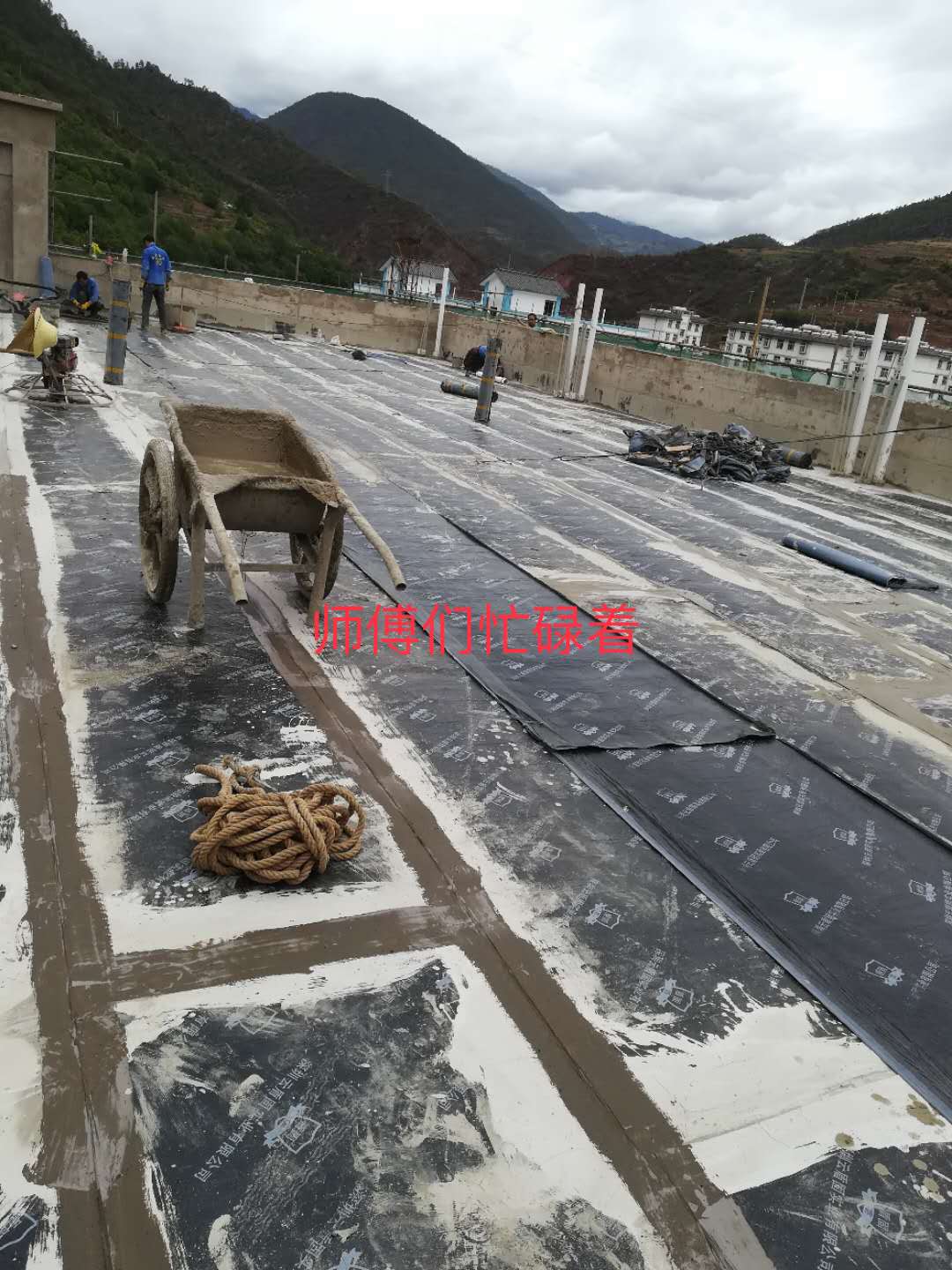 一级特黄AAA大片在线观看