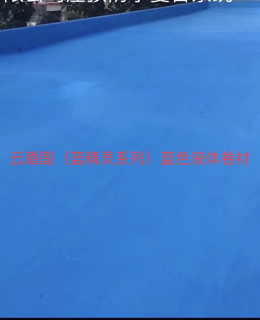 一级特黄AAA大片在线观看
